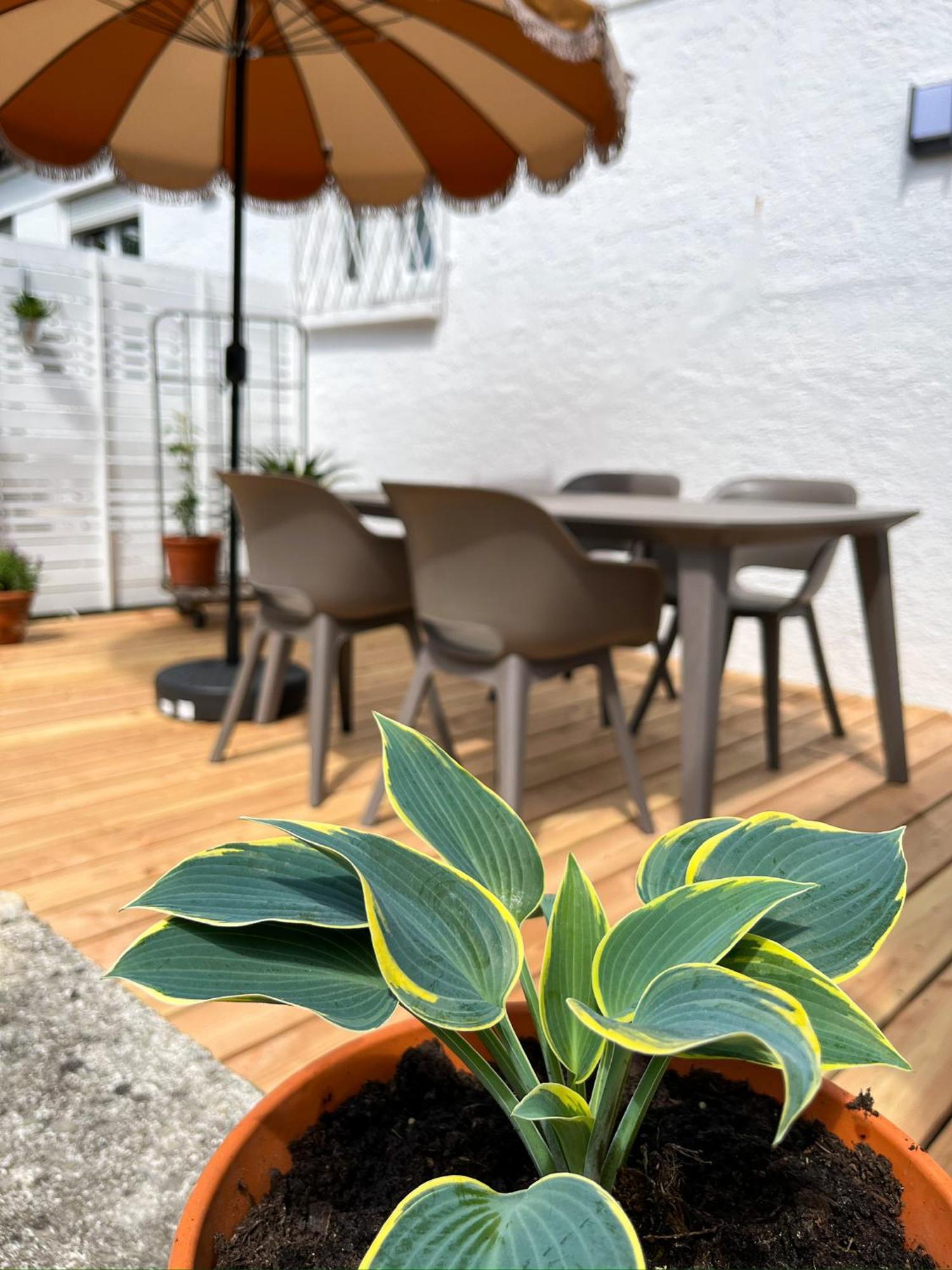 Hacienda Flats - Wunderschoene Ferienwohnungen Am Seewald ฟรีดริชส์ฮาเฟน ภายนอก รูปภาพ